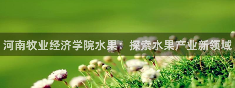 乐虎国际平台入口官网每日互动